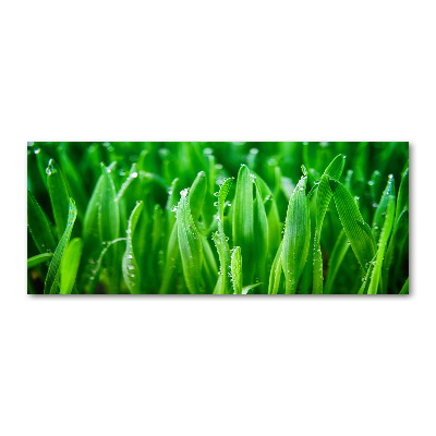 Cuadro acrílico horizontal Césped