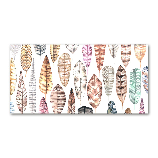 Cuadro metacrilato horizontal Plumas de colores