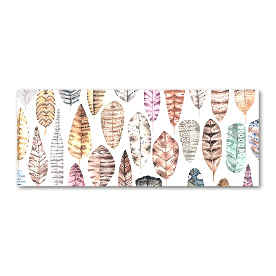 Cuadro metacrilato horizontal Plumas de colores