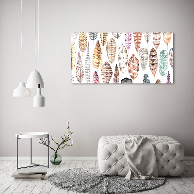 Cuadro metacrilato horizontal Plumas de colores