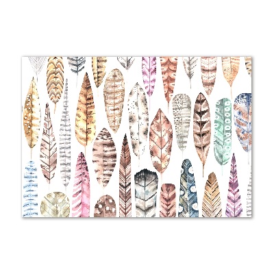 Foto obraz szkło akryl Kolorowe pióra