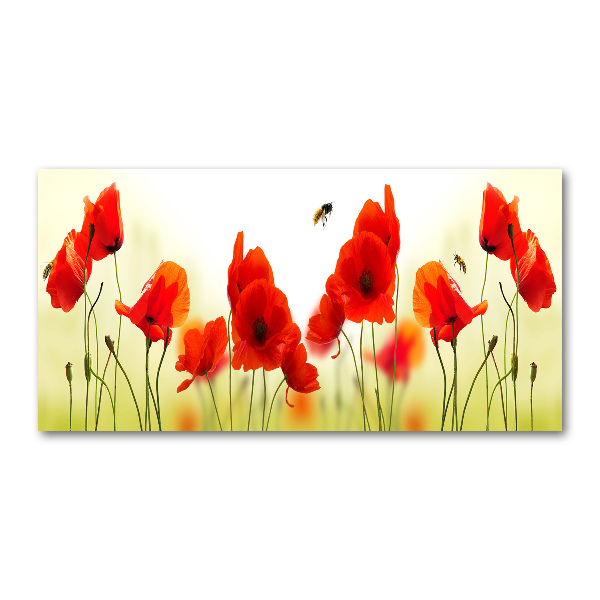 Cuadro metacrilato horizontal Amapolas