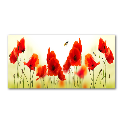 Cuadro metacrilato horizontal Amapolas