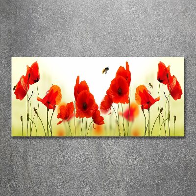 Cuadro metacrilato horizontal Amapolas