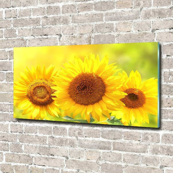 Foto en metacrilato horizontal Girasoles
