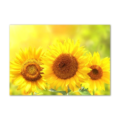 Foto en metacrilato horizontal Girasoles