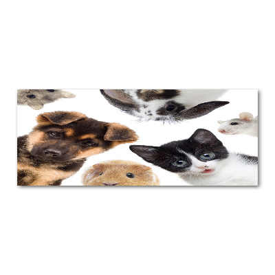 Pintura en acrílico horizontal Mascotas