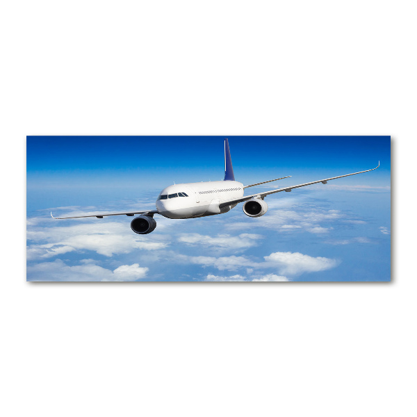 Pintura en acrílico horizontal Un avión en el aire