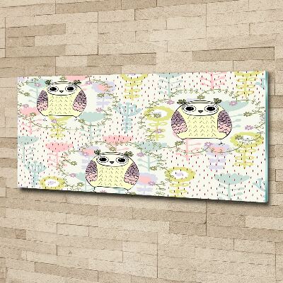 Foto en metacrilato horizontal Búhos