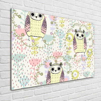 Foto en metacrilato horizontal Búhos