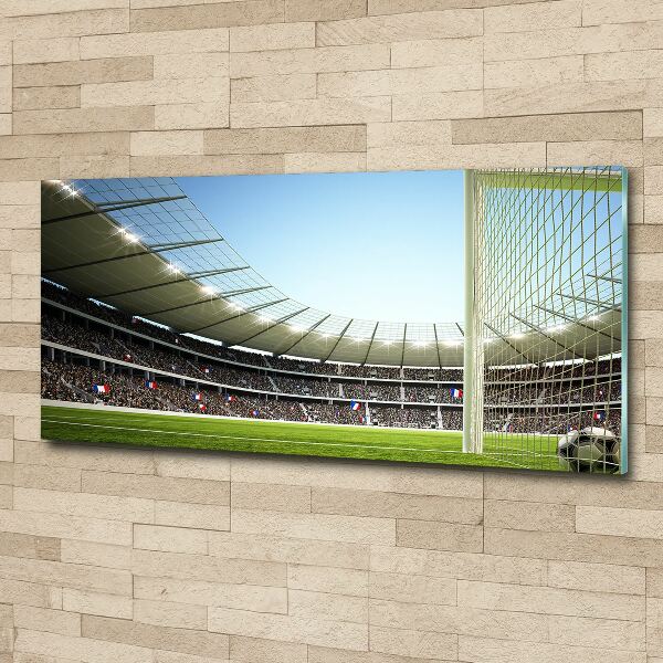 Cuadro acrílico horizontal Estadio Francia