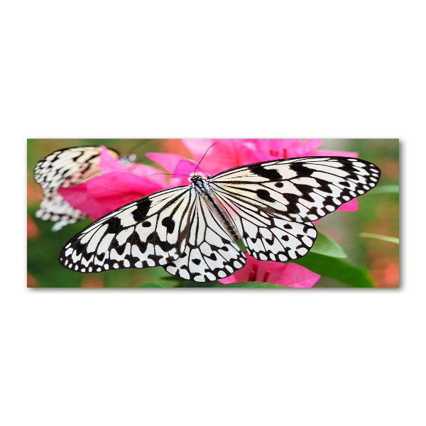 Pintura en acrílico horizontal Mariposa en una flor