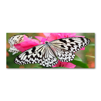 Pintura en acrílico horizontal Mariposa en una flor