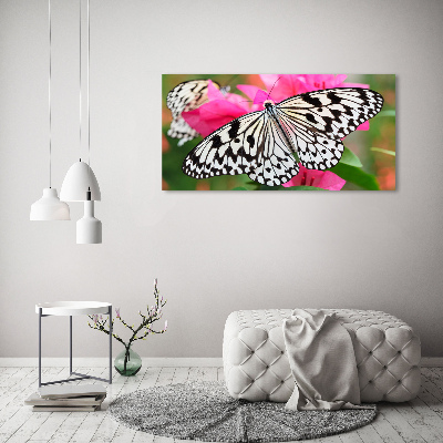 Pintura en acrílico horizontal Mariposa en una flor