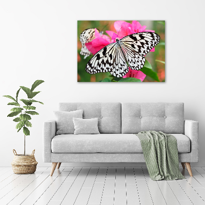 Pintura en acrílico horizontal Mariposa en una flor