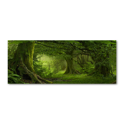 Foto obraz akryl Tropikalna dżungla