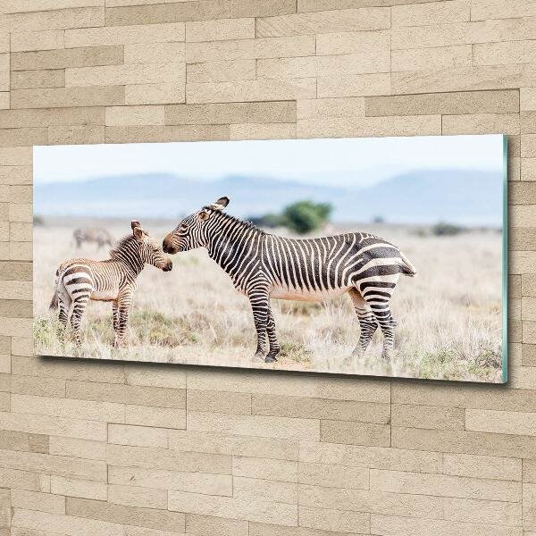 Cuadro metacrilato horizontal Cebras en las montañas