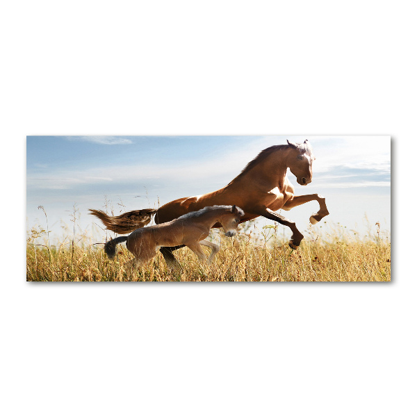 Foto en metacrilato horizontal Yegua con potro
