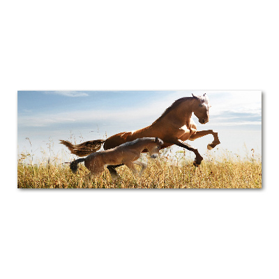 Foto-obraz akrylowy Klacz ze źrebięciem