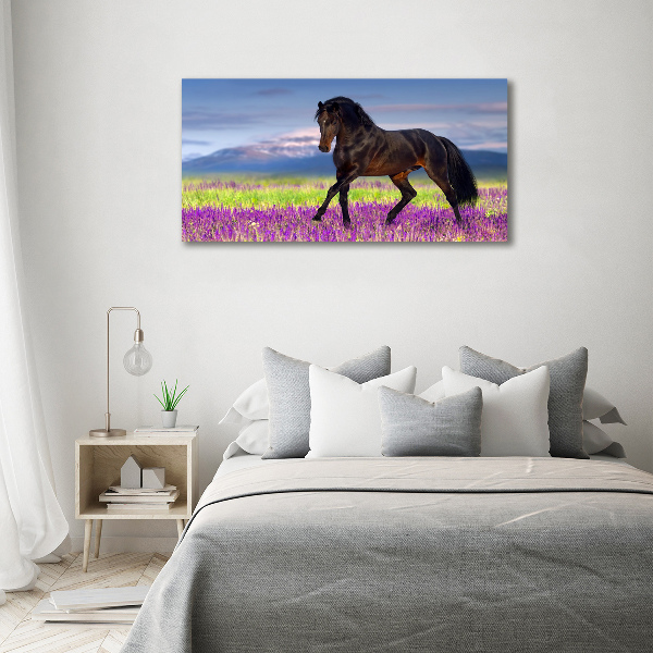 Pintura en acrílico horizontal Un caballo en un campo de lavanda.