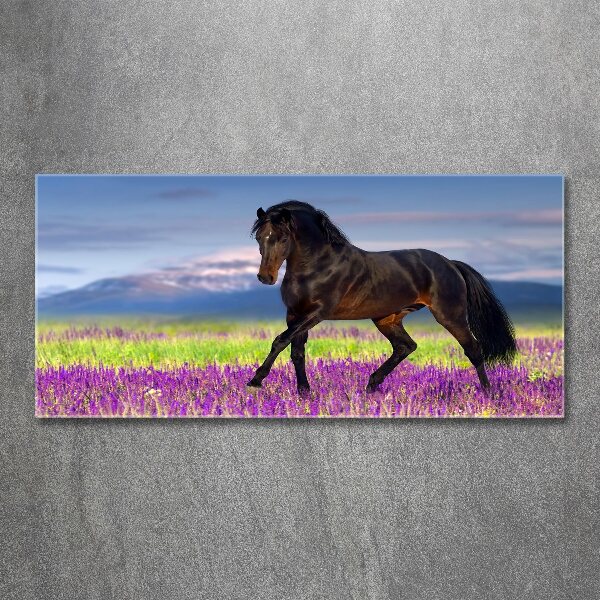 Pintura en acrílico horizontal Un caballo en un campo de lavanda.