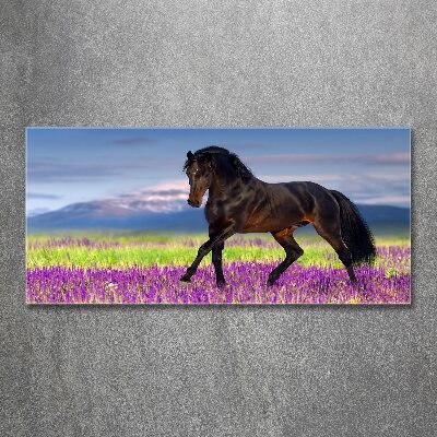 Pintura en acrílico horizontal Un caballo en un campo de lavanda.