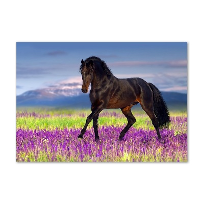 Pintura en acrílico horizontal Un caballo en un campo de lavanda.