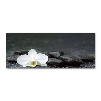 Foto en metacrilato horizontal Orquídea