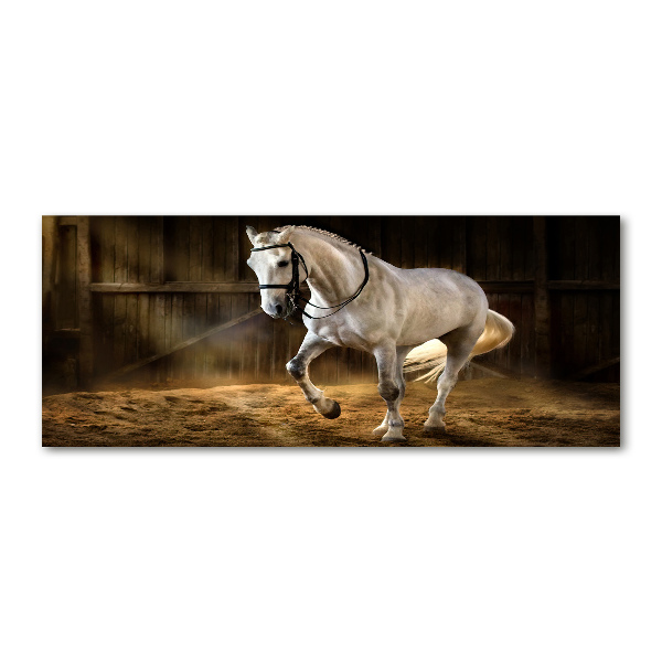 Foto en metacrilato horizontal Caballo blanco en el establo