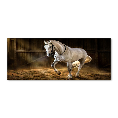 Foto en metacrilato horizontal Caballo blanco en el establo