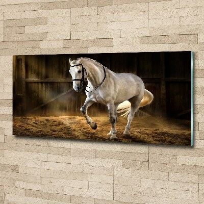 Foto en metacrilato horizontal Caballo blanco en el establo