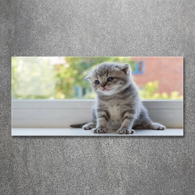 Pintura en acrílico horizontal Un pequeño gato junto a la ventana.