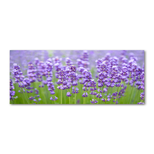 Foto en metacrilato horizontal Lavanda