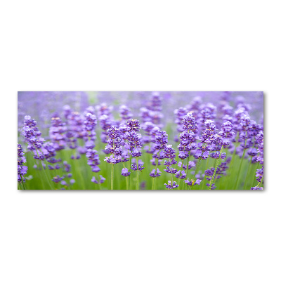 Foto en metacrilato horizontal Lavanda