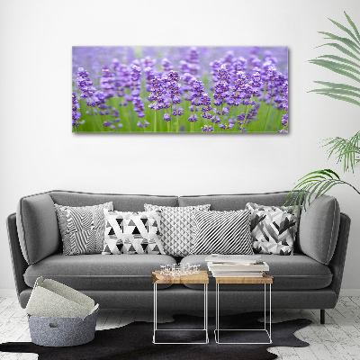 Foto en metacrilato horizontal Lavanda