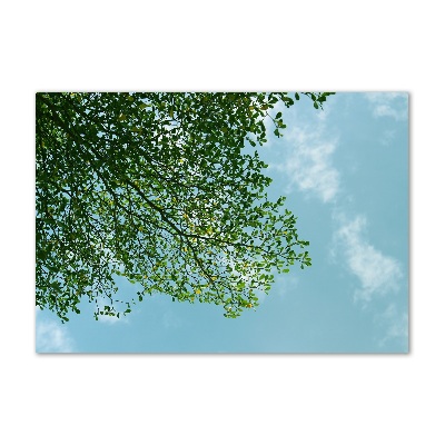 Foto en metacrilato horizontal Hojas en el cielo