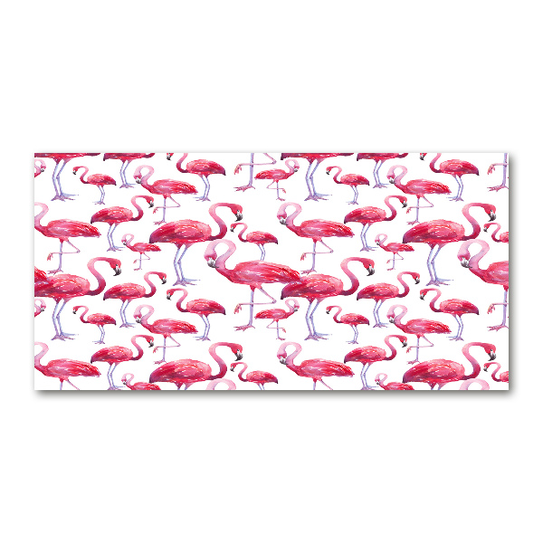Foto en metacrilato horizontal Flamencos