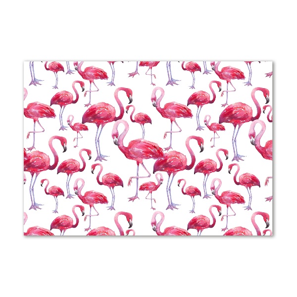 Foto en metacrilato horizontal Flamencos