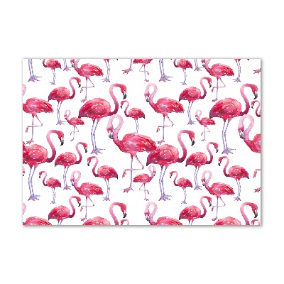 Foto en metacrilato horizontal Flamencos