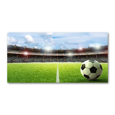 Cuadro acrílico horizontal El balón en el campo
