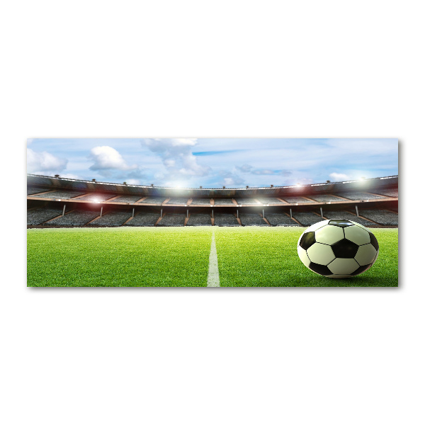 Cuadro acrílico horizontal El balón en el campo