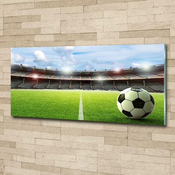 Cuadro acrílico horizontal El balón en el campo