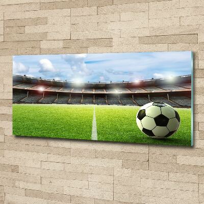 Cuadro acrílico horizontal El balón en el campo