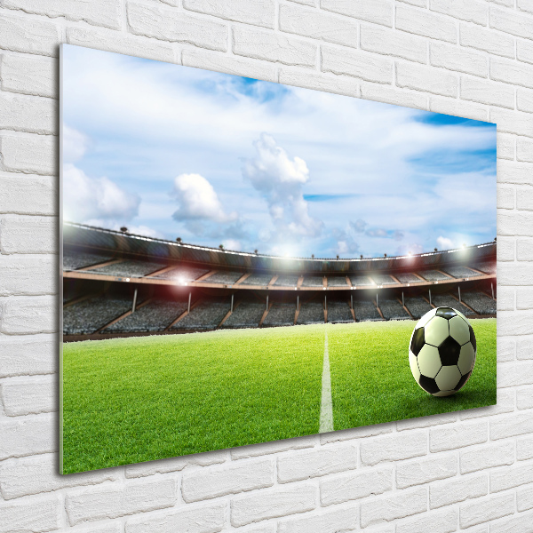 Cuadro acrílico horizontal El balón en el campo