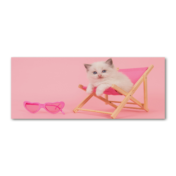 Cuadro metacrilato horizontal Gato en una tumbona