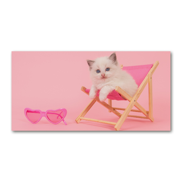 Cuadro metacrilato horizontal Gato en una tumbona