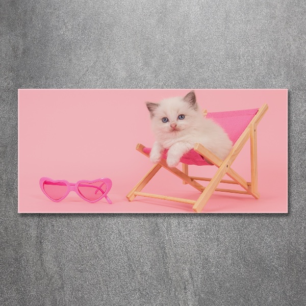 Cuadro metacrilato horizontal Gato en una tumbona
