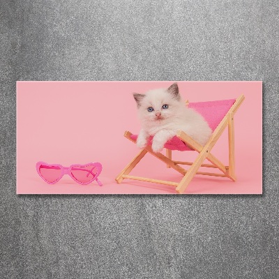 Cuadro metacrilato horizontal Gato en una tumbona