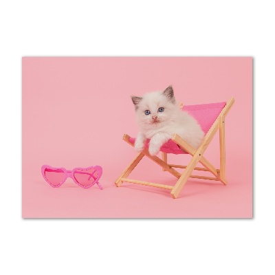 Cuadro metacrilato horizontal Gato en una tumbona