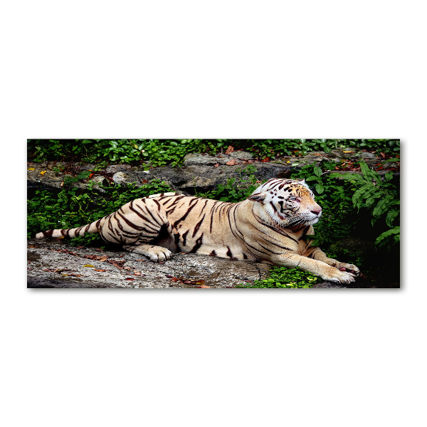 Pintura en acrílico horizontal Tigre en una roca